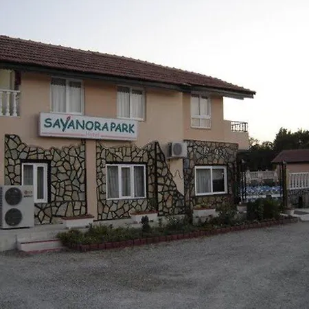 Hotel Sayanora 3*